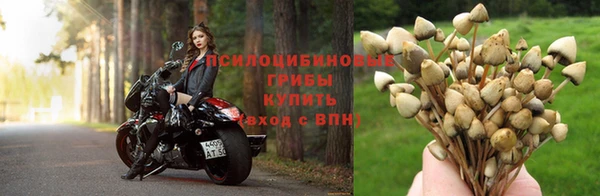 дмт Абаза