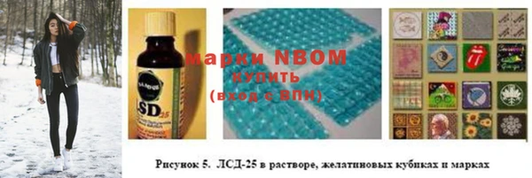 дмт Абаза