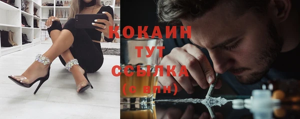 прущий лед Алексин