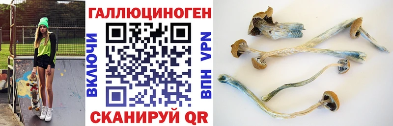 Псилоцибиновые грибы мухоморы  как найти закладки  Зеленогорск 