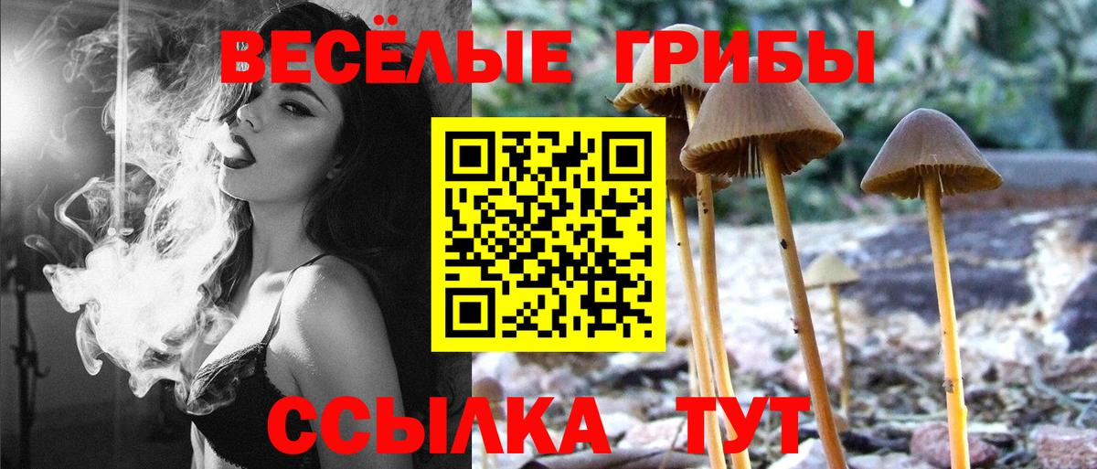 Галлюциногенные грибы GOLDEN TEACHER  Вход с VPN  Зеленогорск 